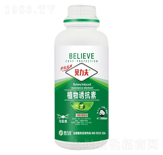 ֲ���T����-ؐ����-� ��S