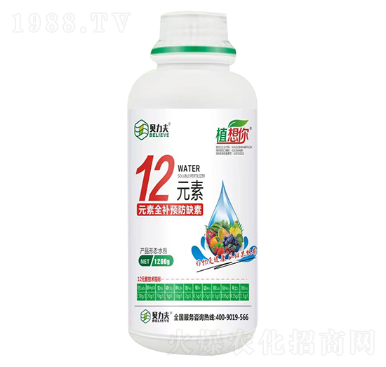 12Ԫ��-ؐ����-� ��S