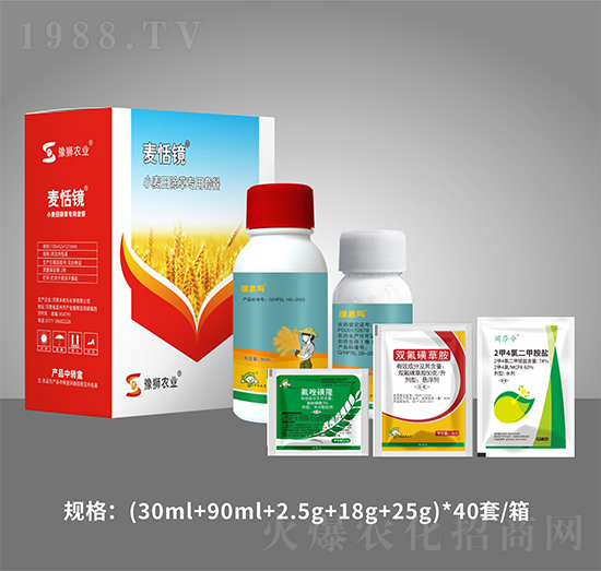 С������݌����ײ�-�����R-�S�՘�(l��)