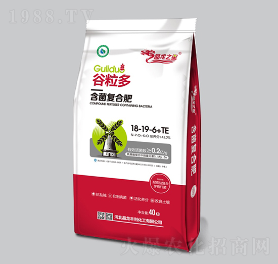 �����ͺϷ�18-19-6+TE-������-����