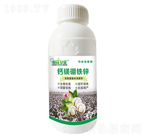 �}�V���F�\-����Ϧ��-�����r(n��ng)�I(y��)