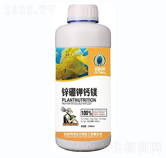 ���\��}�V-һ������