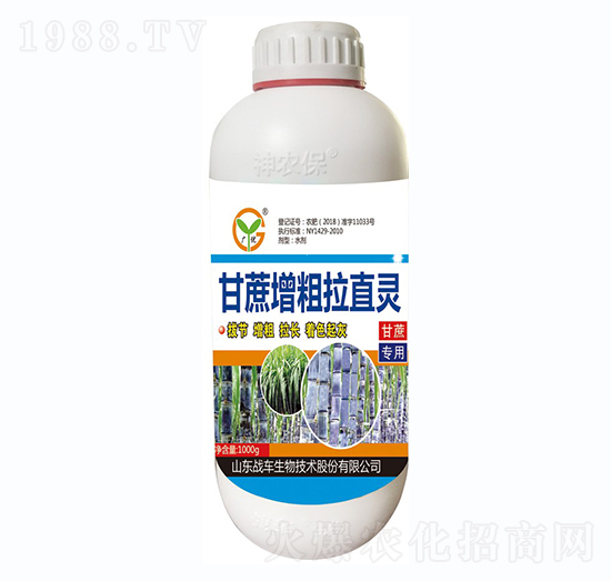 ����������ֱ�`-��(zh��n)܇(ch��)