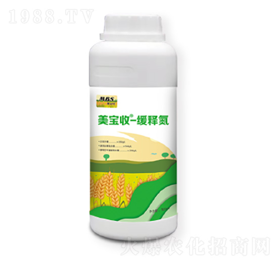 �����վ�ጵ�-�M������