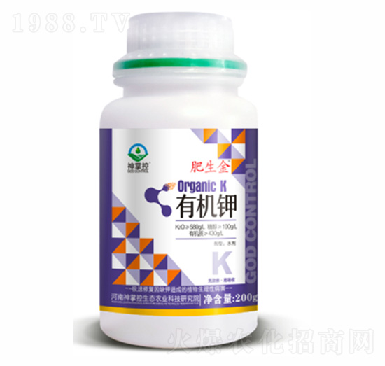 �ЙC�-������-���ƿ�