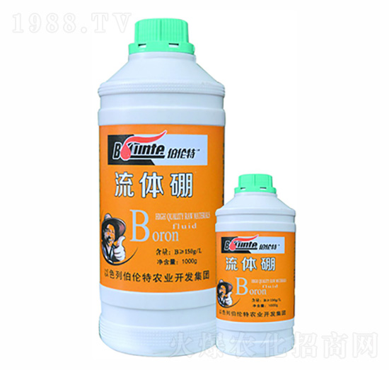 ���w��-������