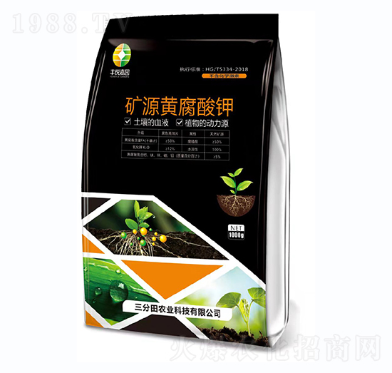 �VԴ�S�����-������