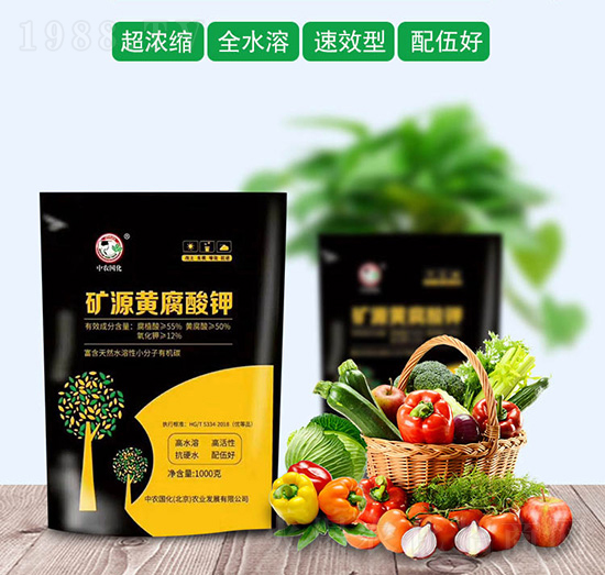 �VԴ�S�����-���r(n��ng)����