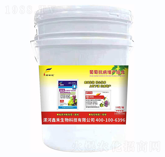 ���ѿ������a�M��-�G���-�κ�����