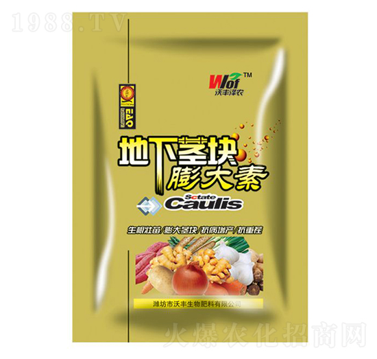 �����o�K�����-���S���r(n��ng)-���S����