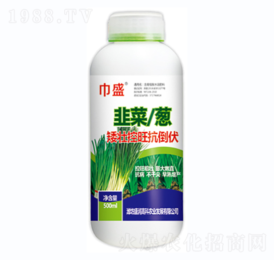 �²����[���ѿ���������-��ʢ-ʢ���߿�