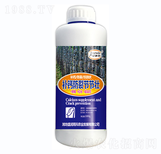 �a(b��)�}���ѹ�(ji��)��(ji��)��-ʢ���߿�