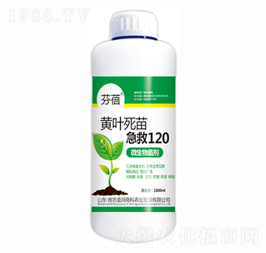 �S�~���缱��120-����-ʢ��(r��n)�߿�