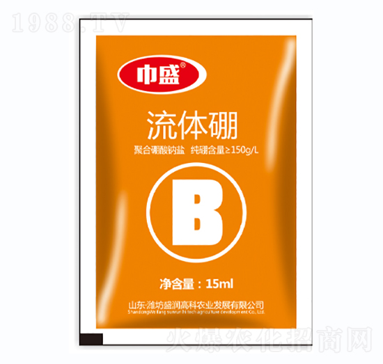 ���w��-��ʢ-ʢ���߿�