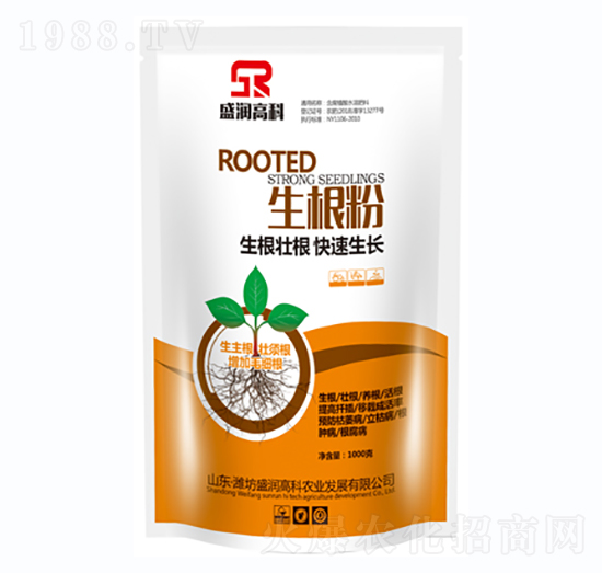 ������-ʢ���߿�