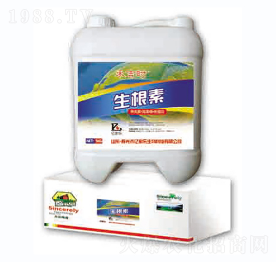 ������-����-�|�Ҙ�(l��)