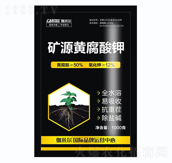 �VԴ�S�����-٤�נ�-�_˼ķ