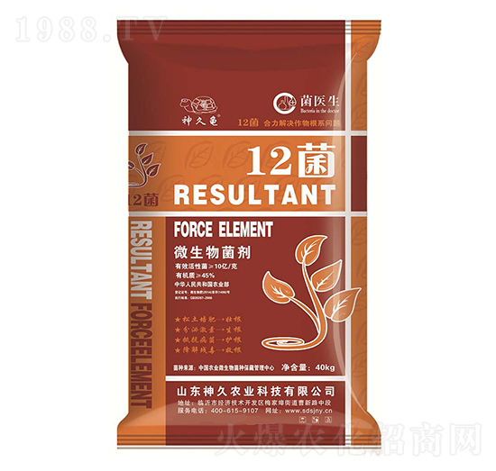 10�|΢�������-12��-����r�I(y��)