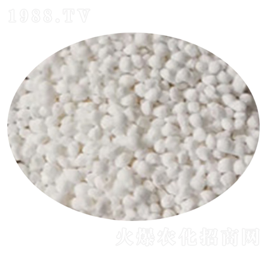 �w���D����ɒ��A�Ȼ��@-���r����