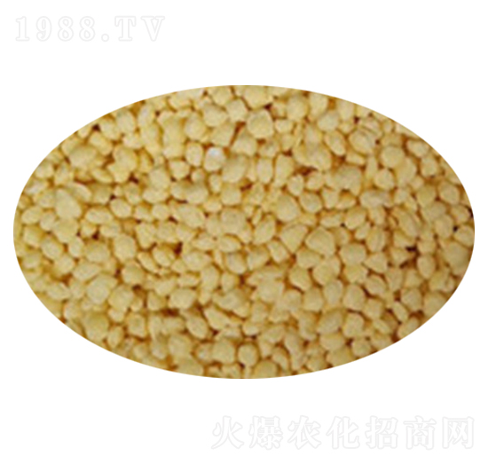 �w���͔D����ɒ��A�Ȼ��@-���r(n��ng)����