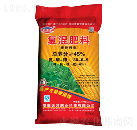 ������͏�(f��)�����30-6-9-��Ӱٝ�