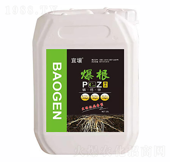 ����-����-�t������