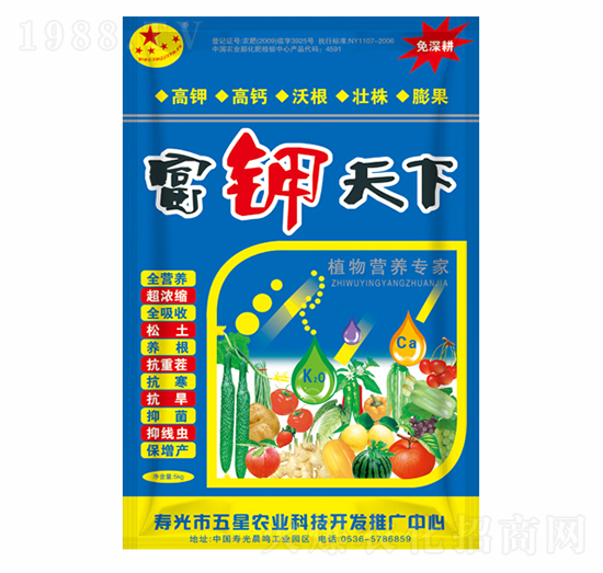 �������-�t������