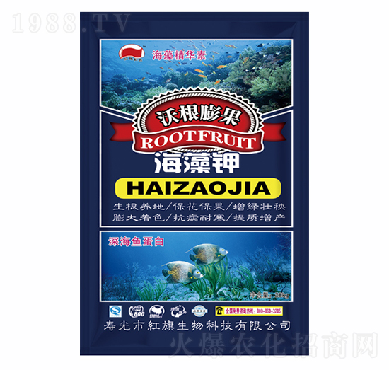 �ָ���������-�t������