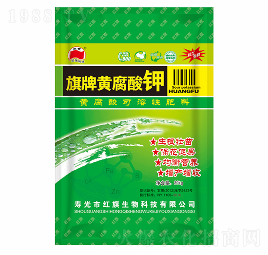 �����S�����-�t������