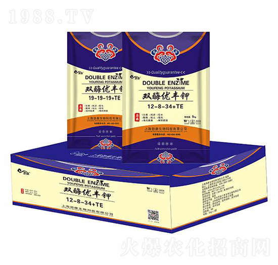 �pø��(y��u)�S�12-8-34+TE-�t������