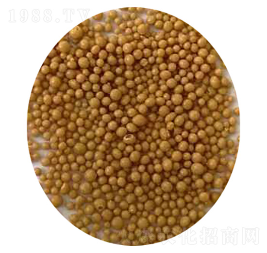 �S������Ч���׷�-�Ѓ|�r