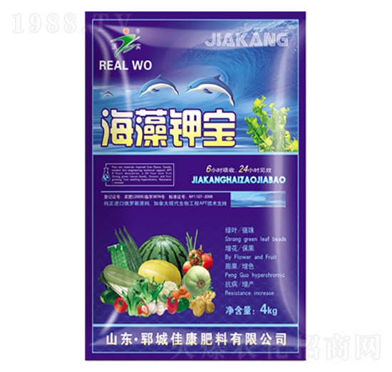 ����⛌�-�ѿ�