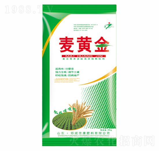 ���S��-�ѿ�