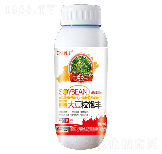 ������S-Ӣ�A����-��˴ֲ��