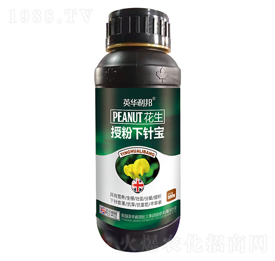 �����ڷ���ᘌ�-��˴ֲ��