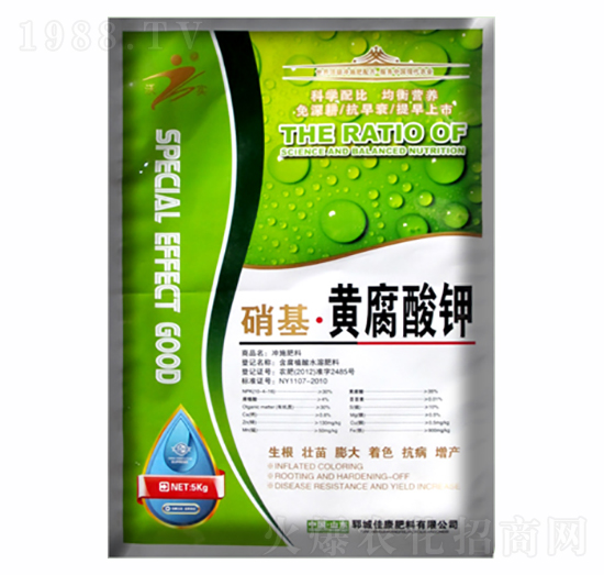 �������S�����-�ѿ�