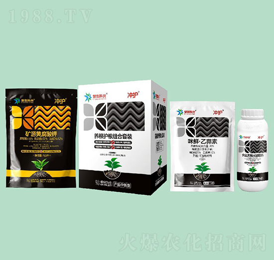 �B(y��ng)���o���M�����b-�_�o-����(chu��ng)���d