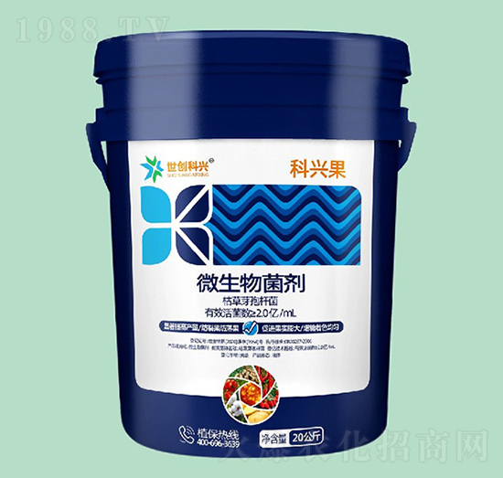 ΢�������-���d��-����(chu��ng)���d