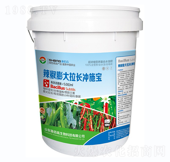 ����������L�_ʩ��-ʩ�۸�