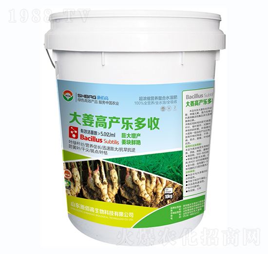 �󽪸߮a������-ʩ�۸�