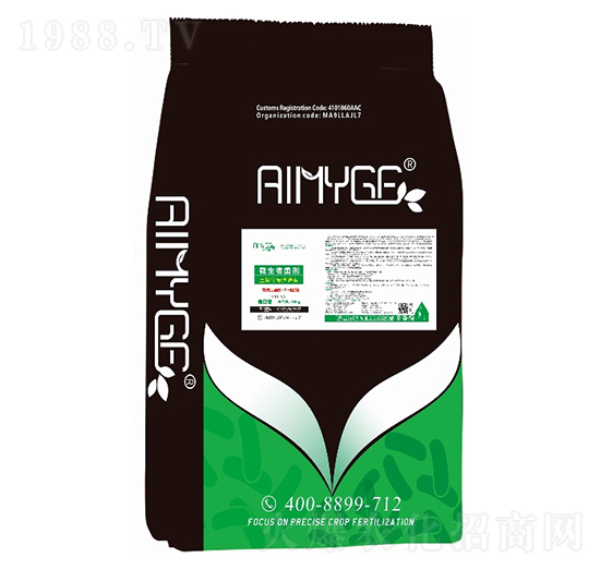 �����ޏ;���-������