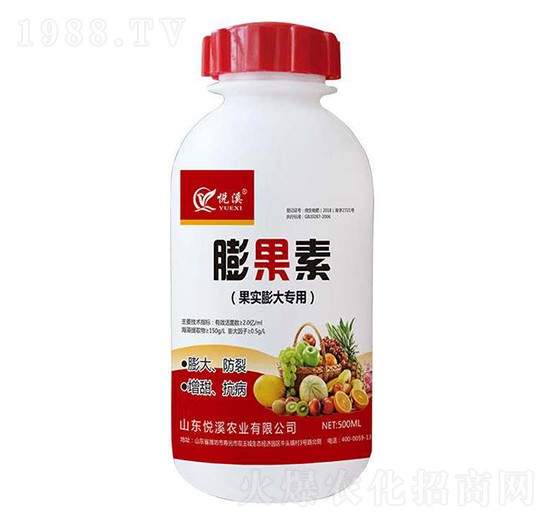 ���������-�����-��Ϫ