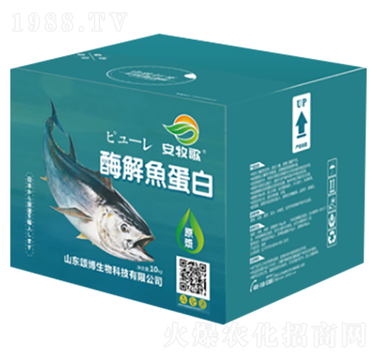 ������ø���~����-ힲ�����