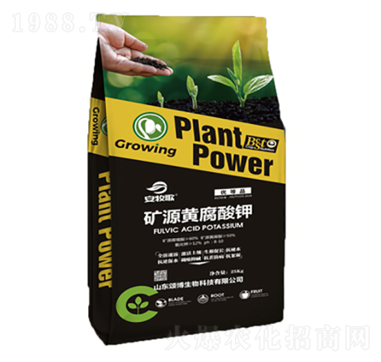 ������VԴ�S�����-ힲ�����