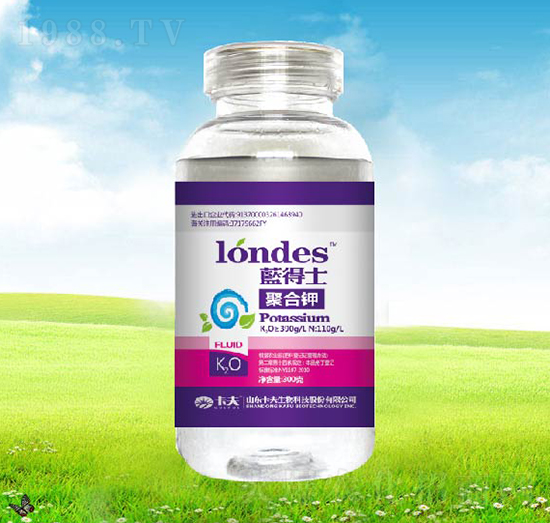 300���{��ʿ�ۺ��-����