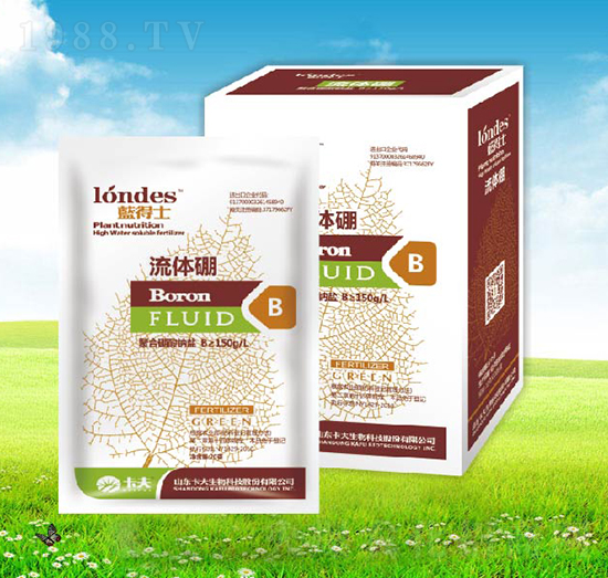 20���{��ʿ���w��-����