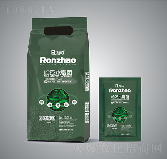 ����ľù��-�����r�I(y��)