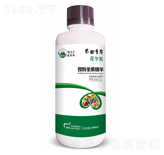 �ڷ��������A-�r���S��-��ʩ��