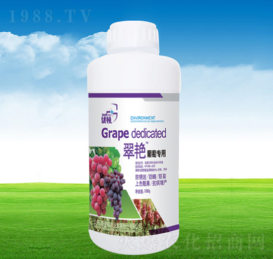 ���G���ь���-�μѸ�