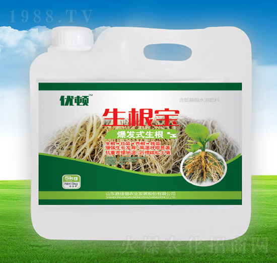 ������-�μѸ�